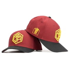 Boné de beisebol com aba curvada bordada 3D personalizada 100% algodão 6 painéis TCAP